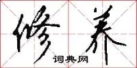 修养