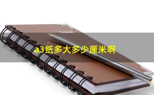 a3纸多大多少厘米啊