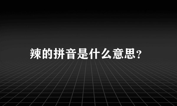 辣的拼音是什么意思？