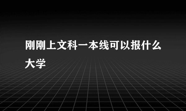刚刚上文科一本线可以报什么大学