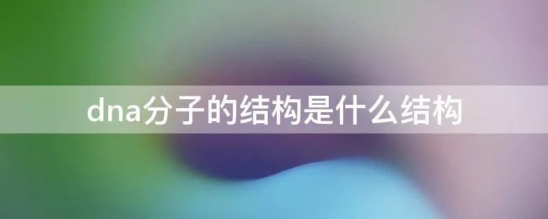 dna分子的结构是什么结构