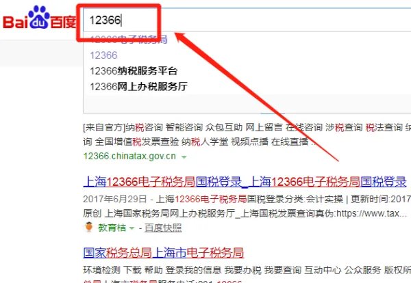 国税网查询