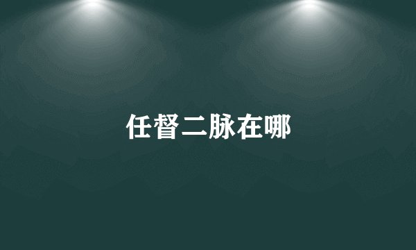 任督二脉在哪
