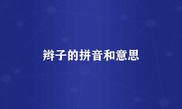 辫子的拼音和意思