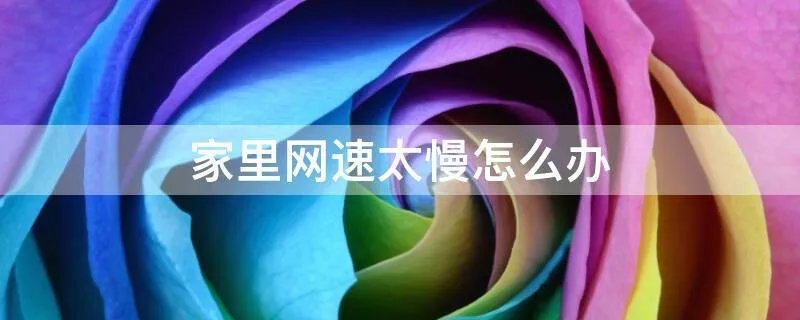 家里网速太慢怎么办