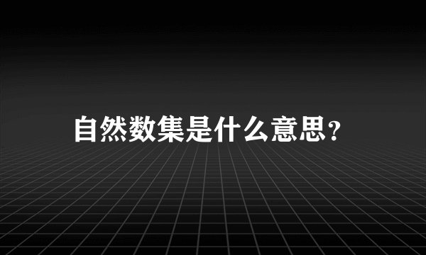自然数集是什么意思?