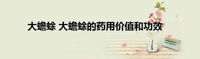 大蟾蜍 大蟾蜍的药用价值和功效