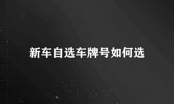 新车自选车牌号如何选
