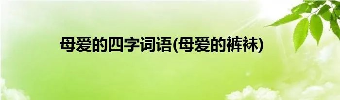 母爱的四字词语(母爱的裤袜)
