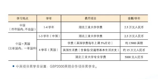中外合作办学学费一般多少?