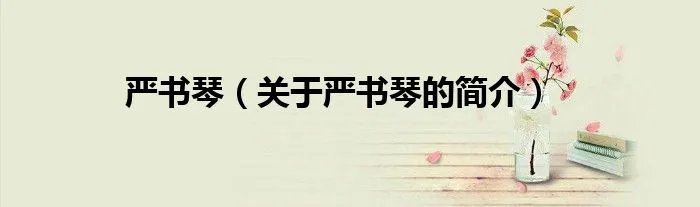 严书琴（关于严书琴的简介）