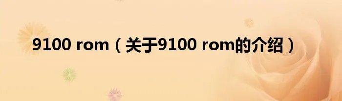 9100 rom（关于9100 rom的介绍）
