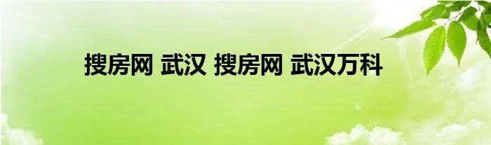 搜房网 武汉 搜房网 武汉万科