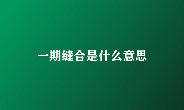 一期缝合是什么意思
