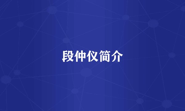 段仲仪简介