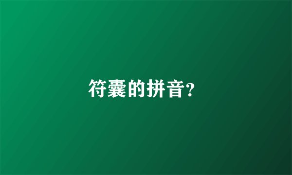 符囊的拼音？