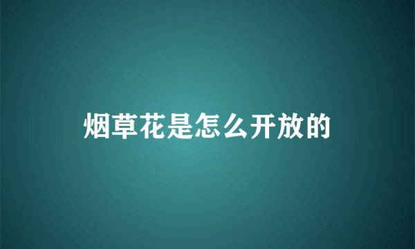烟草花是怎么开放的