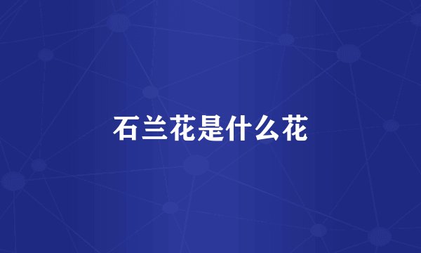石兰花是什么花
