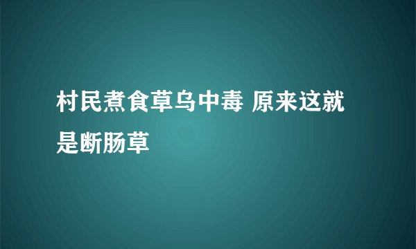 村民煮食草乌中毒 原来这就是断肠草