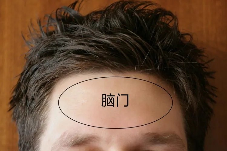 脑门是哪个位置图片