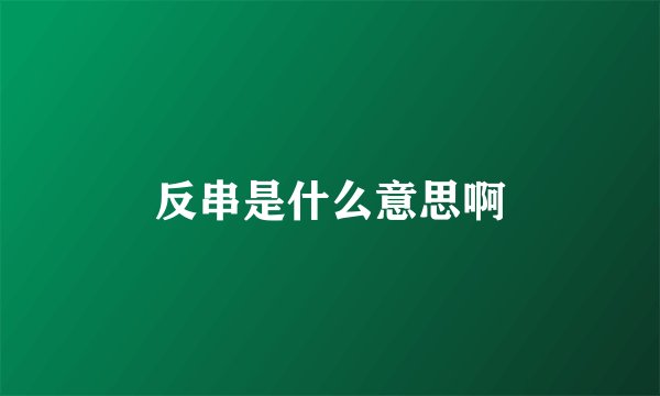 反串是什么意思啊