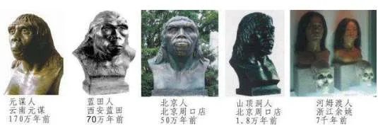 蓝田人