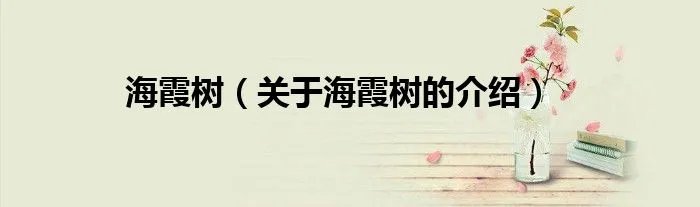 海霞树（关于海霞树的介绍）