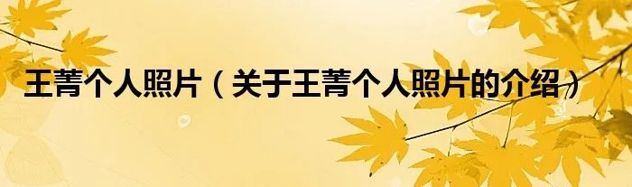 王菁个人照片（关于王菁个人照片的介绍）