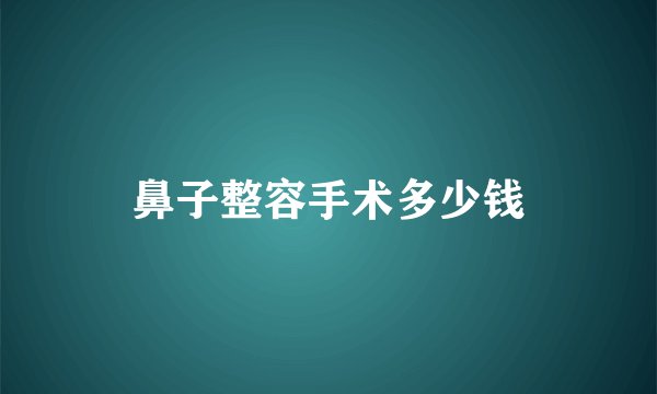 鼻子整容手术多少钱