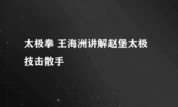 太极拳 王海洲讲解赵堡太极技击散手