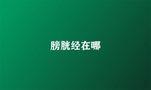 膀胱经在哪