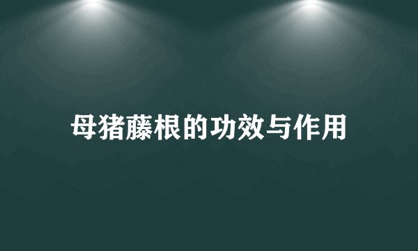 母猪藤根的功效与作用