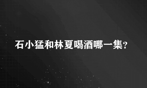 石小猛和林夏喝酒哪一集？