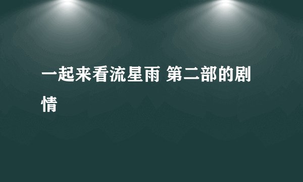 一起来看流星雨 第二部的剧情