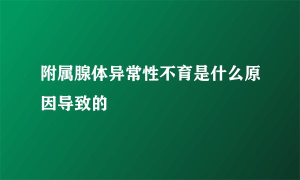 附属腺体异常性不育是什么原因导致的