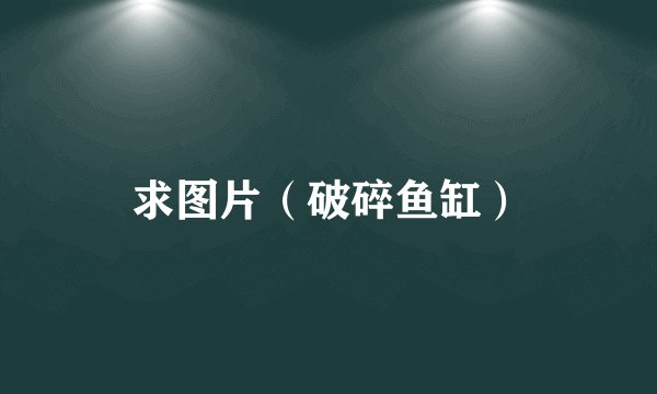 求图片（破碎鱼缸）