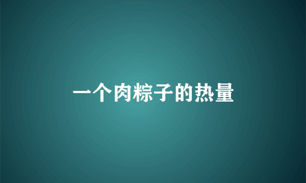 一个肉粽子的热量