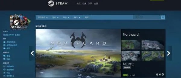 steam平台是什么中文网站吗？