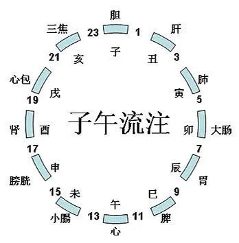 睡好子午觉