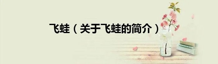 飞蛙（关于飞蛙的简介）