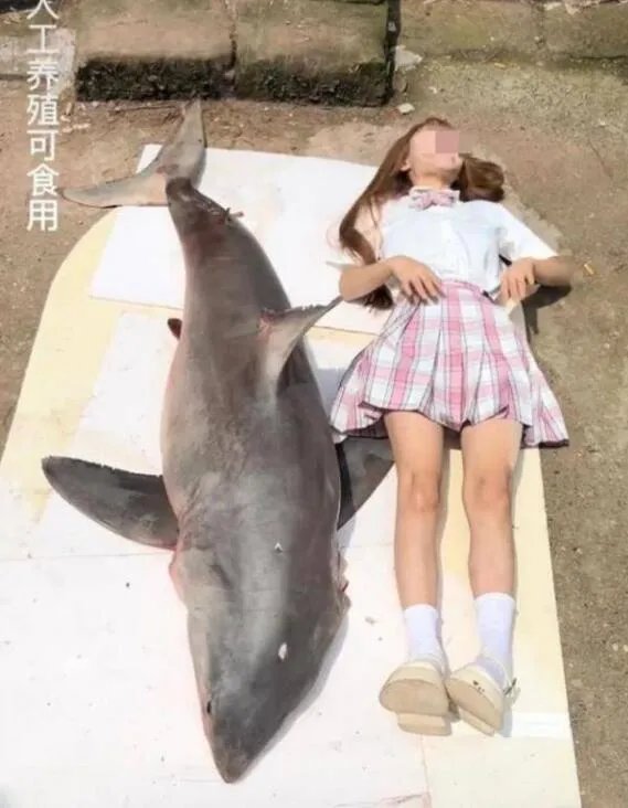 网红提子吃鲨鱼原视频，网红提子的真实身份