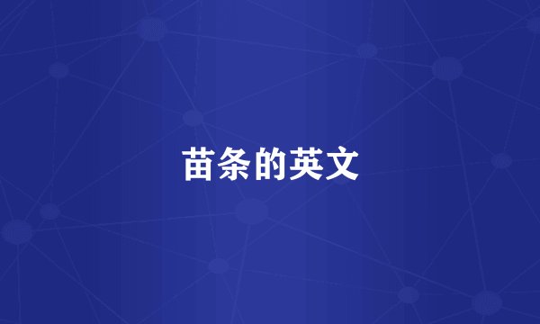 苗条的英文