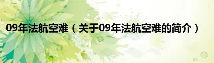 09年法航空难（关于09年法航空难的简介）