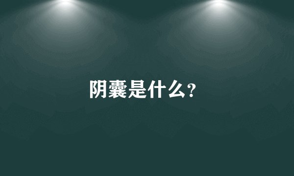 阴囊是什么？