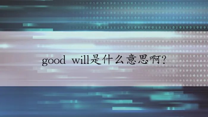 good will是什么意思啊？