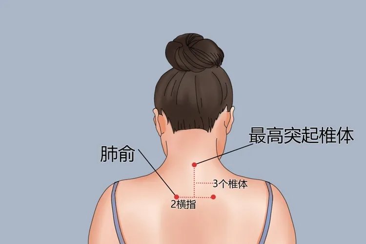 小儿肺俞的准确位置图怎么找