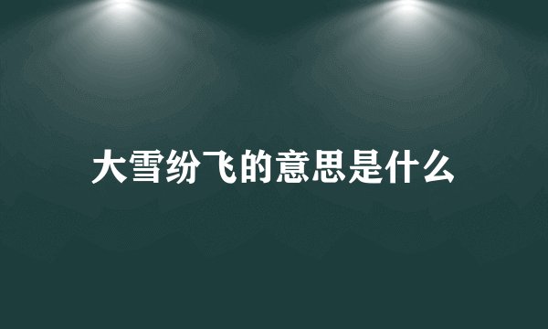大雪纷飞的意思是什么