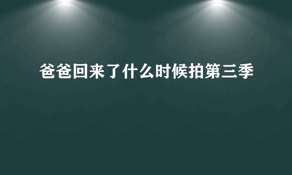 爸爸回来了什么时候拍第三季