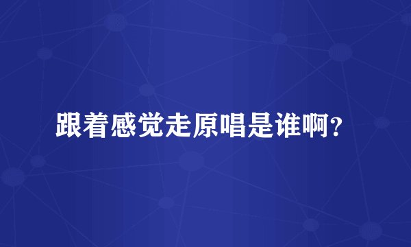 跟着感觉走原唱是谁啊？