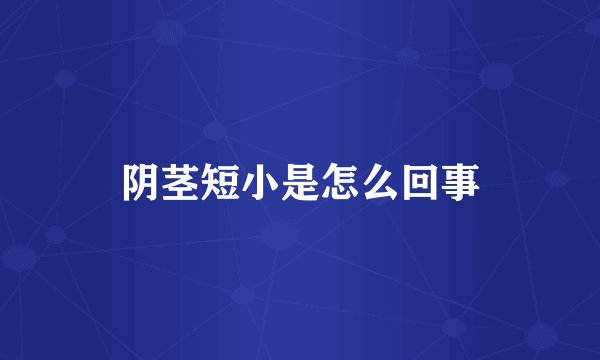 阴茎短小是怎么回事